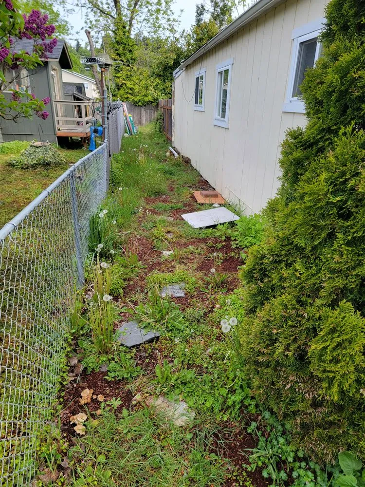 Professional yard maintenance in Salem, OR by Howton Landscape Maintenance