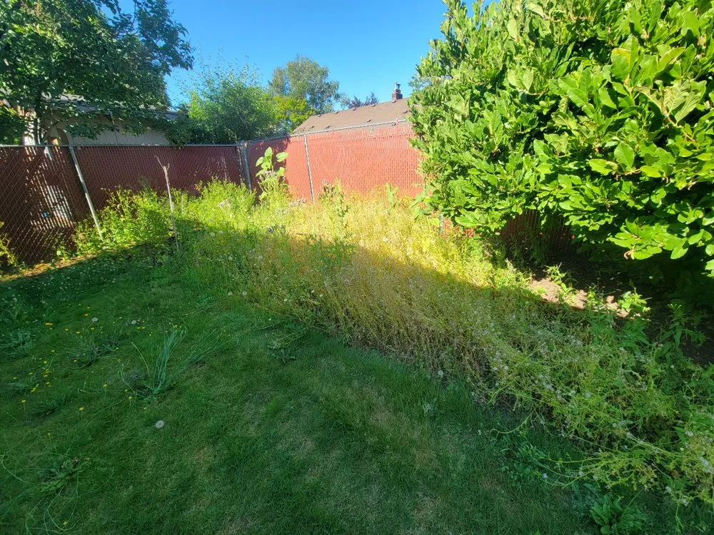 Reliable lawn mowing service in Salem, OR - Howton Landscape Maintenance