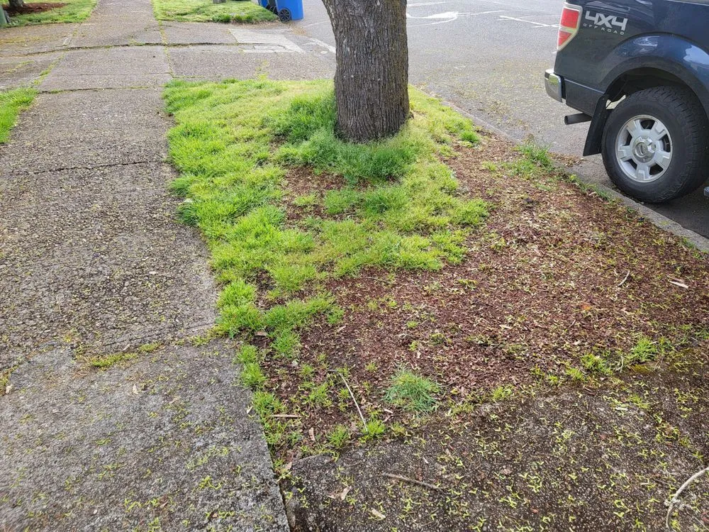 Reliable landscape design in Salem, OR - Howton Landscape Maintenance