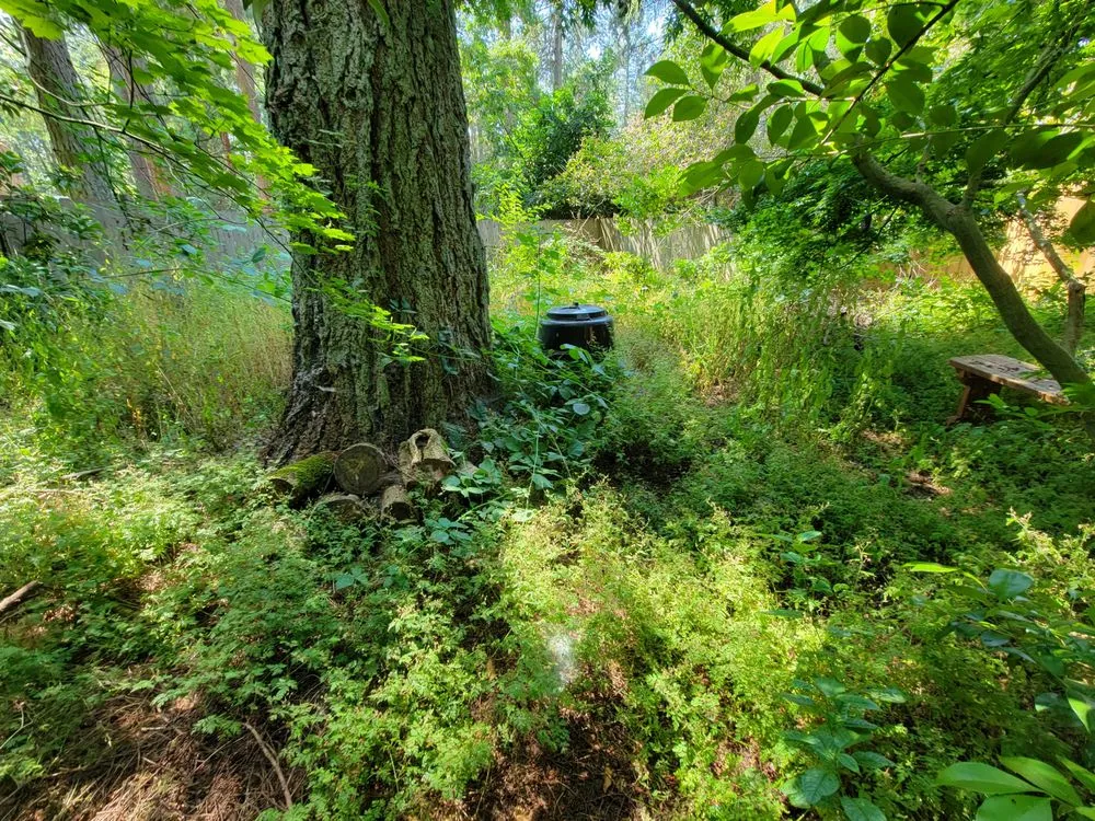 Top-rated lawn mowing service near you in Salem, OR by Howton Landscape Maintenance