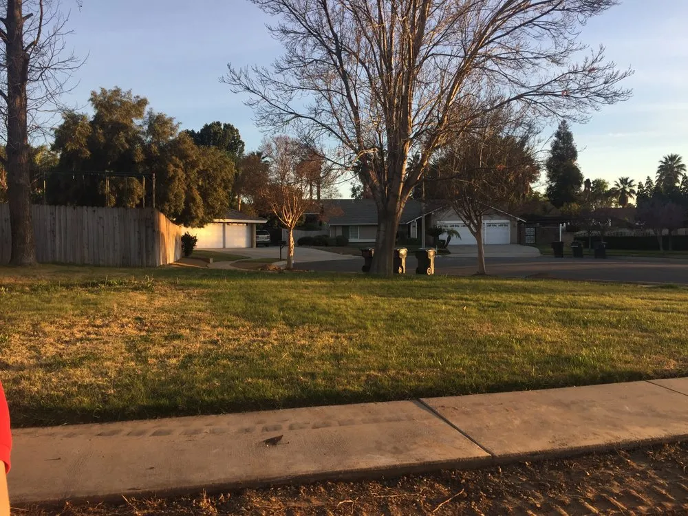 Top-rated yard maintenance experts serving Redlands, CA - Hoy Construction Landscaping