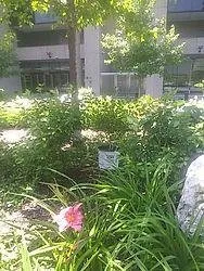 Top-rated landscape installation in Melrose Park, IL - Hoy Landscaping