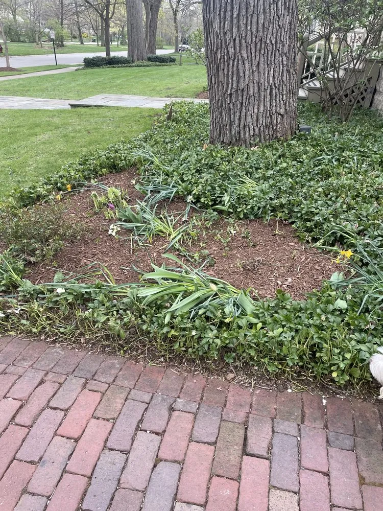 Professional landscape design in Melrose Park, IL - Hoy Landscaping