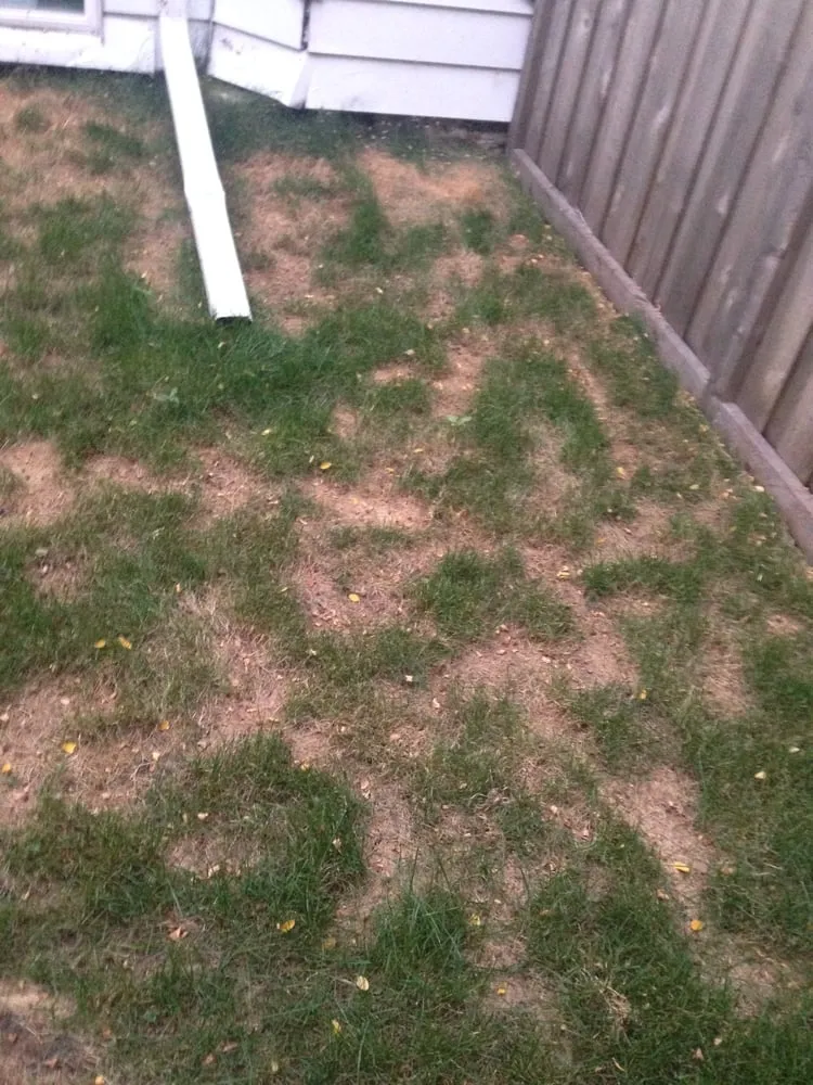 Custom outdoor landscaping experts serving Melrose Park, IL - Hoy Landscaping