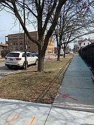 Expert yard cleanup service near you in Melrose Park, IL by Hoy Landscaping