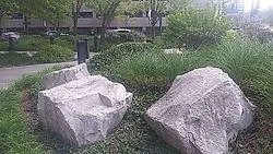 Top-rated yard cleanup service in Melrose Park, IL - Hoy Landscaping