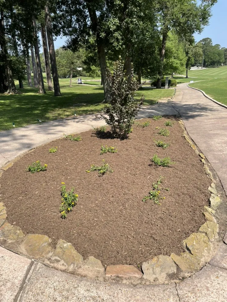 Reliable lawn care service in Montgomery, TX - Hoyscapes