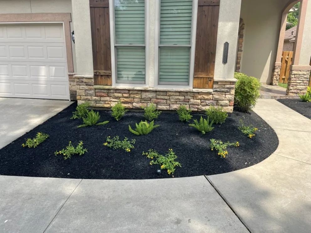 Trusted garden landscaping experts serving Montgomery, TX - Hoyscapes