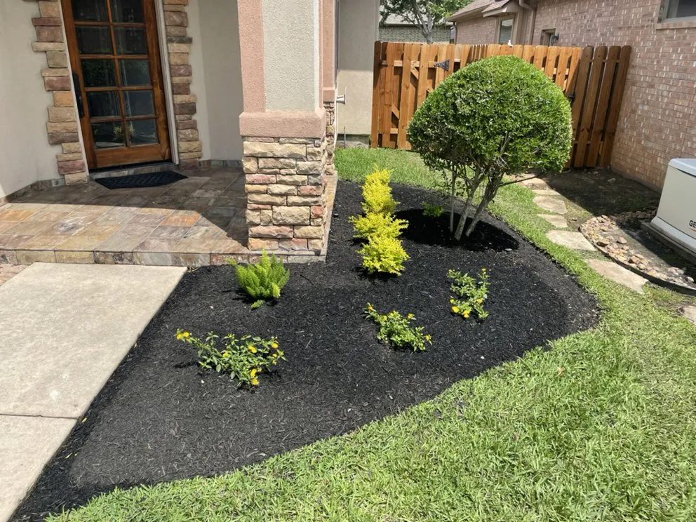 Local yard maintenance experts serving Montgomery, TX - Hoyscapes