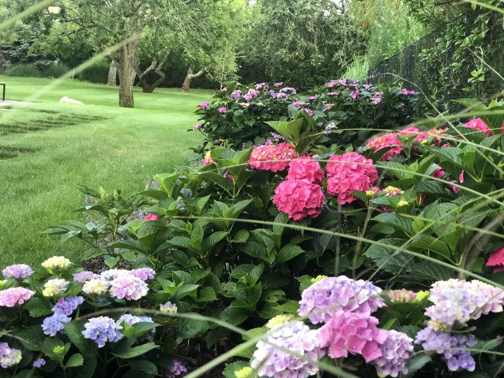 Expert outdoor landscaping with custom design in Amagansett, NY by Hoyt Property Care