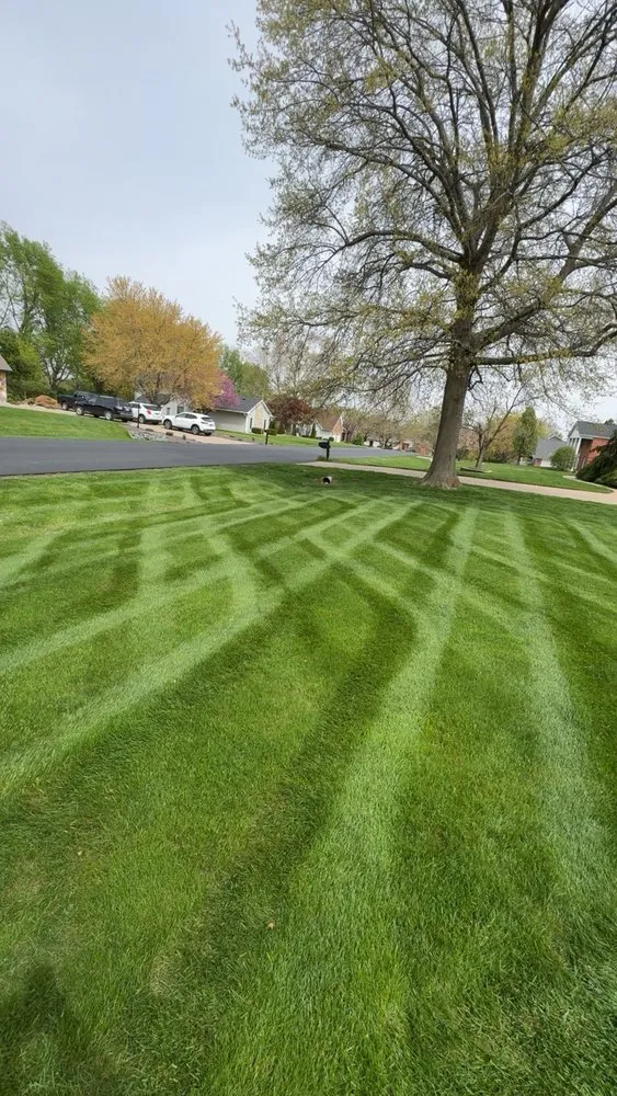 Expert lawn mowing service experts serving Quincy, IL - Hoyt Property Maintenance