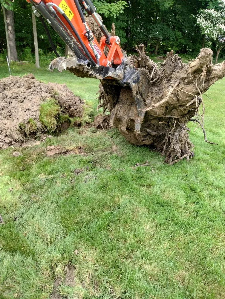 Affordable yard cleanup service experts serving Wampum, PA - H&P Construction & Landscaping