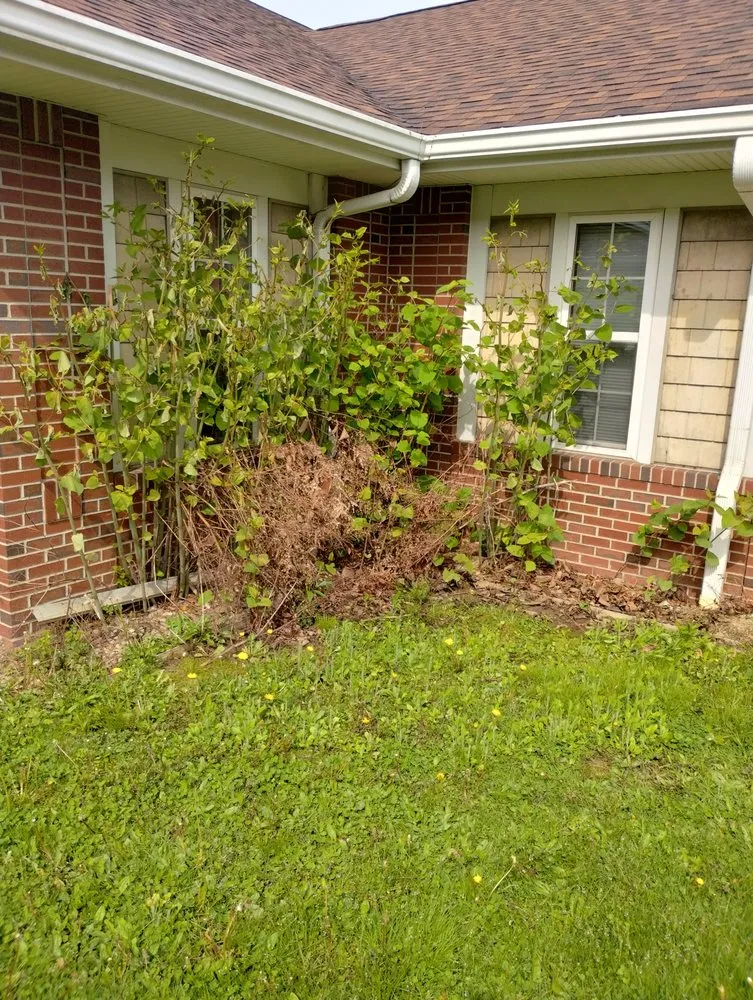 Affordable yard cleanup service for beautiful yards across Wampum, PA - H&P Construction & Landscaping