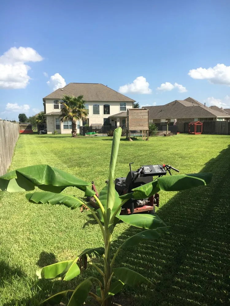 Custom yard cleanup service for outdoor upgrades across Park Row, TX - H&P Home