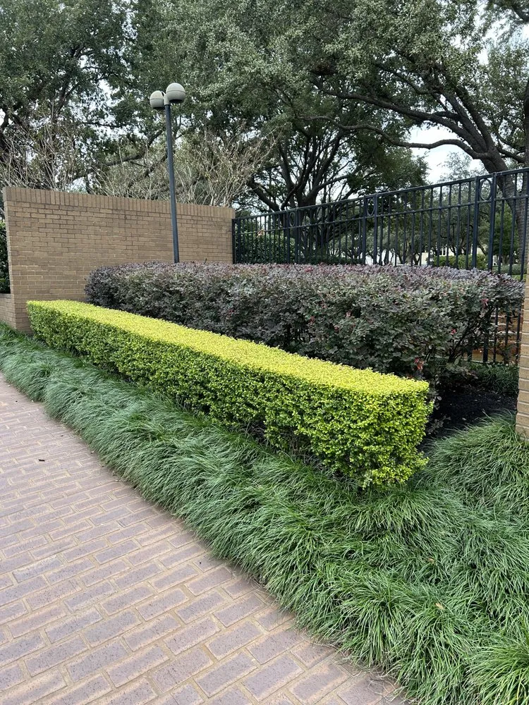 Top-rated garden landscaping with custom design in College Station, TX by HP Landscaping