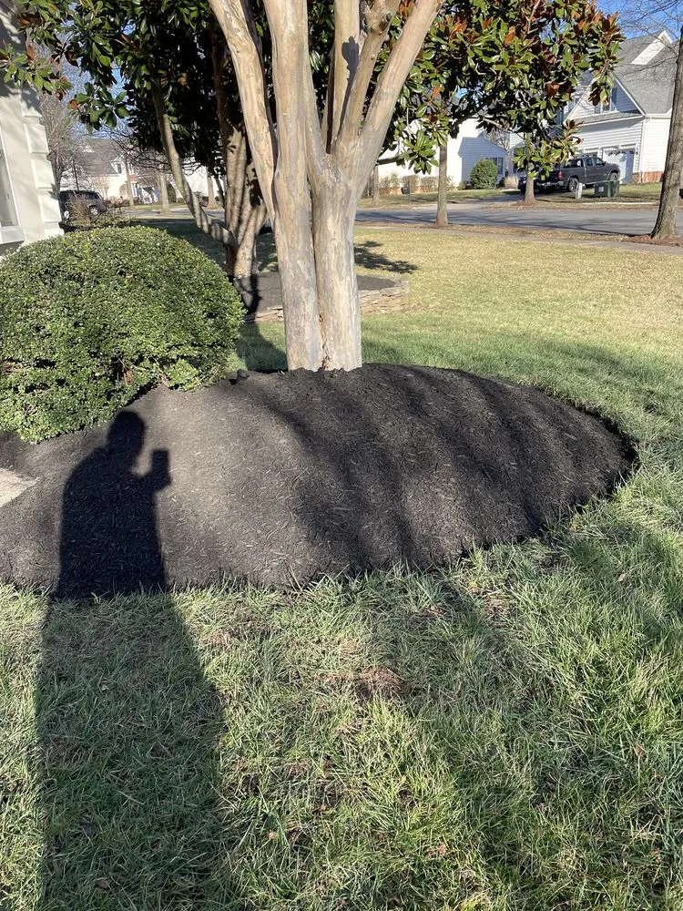 Affordable yard maintenance for beautiful yards in Dale City, VA by HP Landscaping