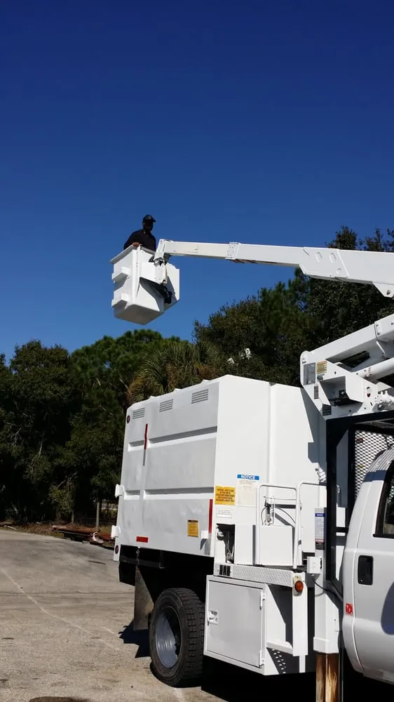 Trusted lawn care service with custom design across Dallas, TX - HP Professional