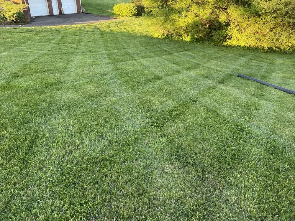 Trusted landscaping services in New Market, TN - HP Property Management