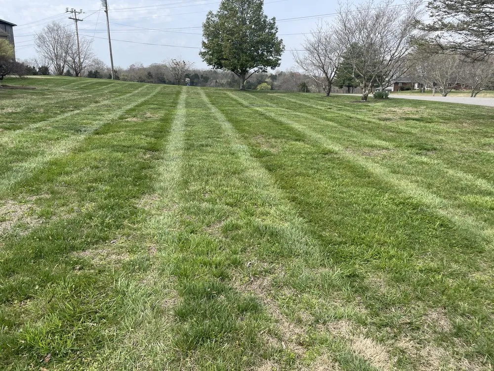 Custom residential landscaping for year-round maintenance in New Market, TN by HP Property Management