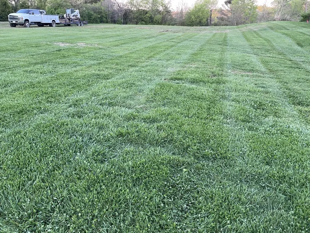 Local lawn care service for residential properties across New Market, TN - HP Property Management