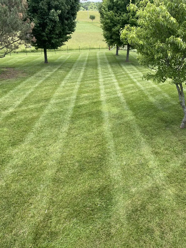 Reliable landscaping services in New Market, TN - HP Property Management