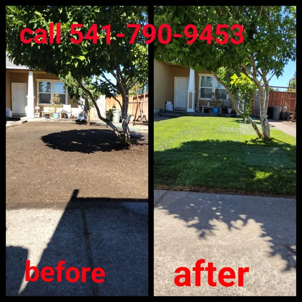 Affordable residential landscaping for homes across Springfield, OR - h.p yard maintenance
