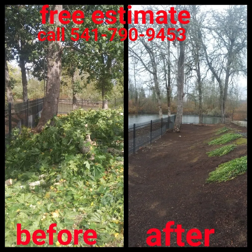 Professional yard cleanup service in Springfield, OR - h.p yard maintenance