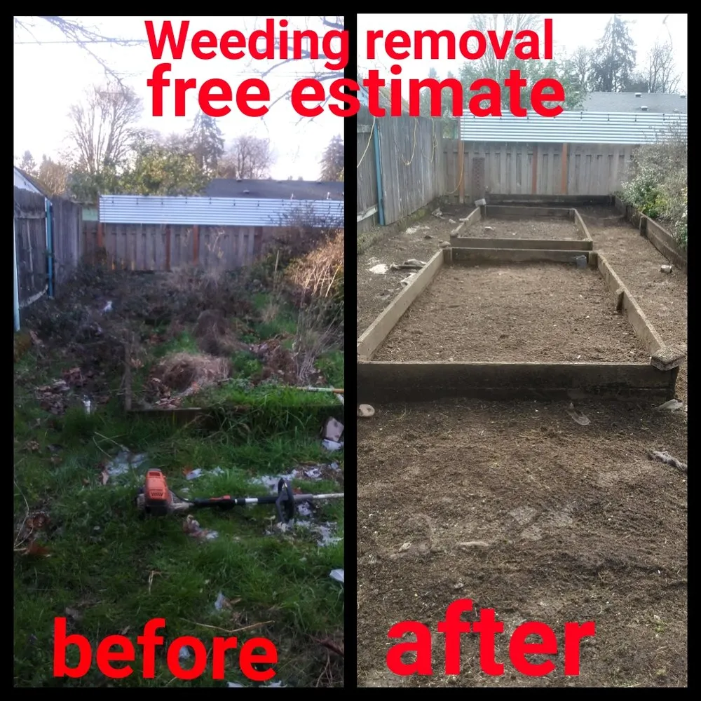 Local outdoor landscaping experts serving Springfield, OR - h.p yard maintenance