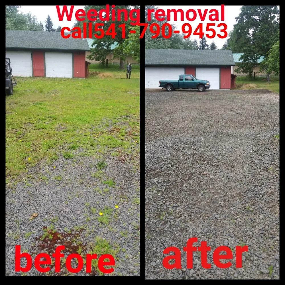 Top-rated yard maintenance in Springfield, OR - h.p yard maintenance
