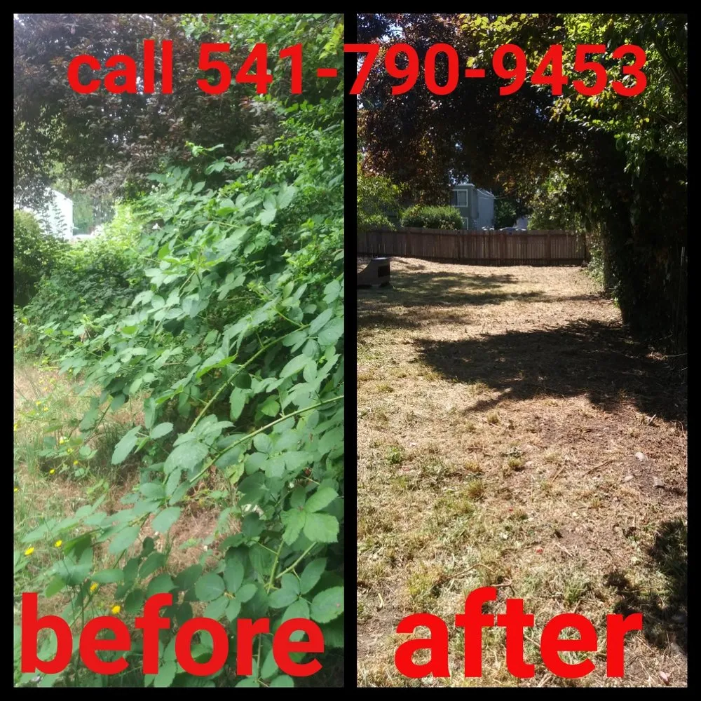 Custom landscape installation in Springfield, OR - h.p yard maintenance
