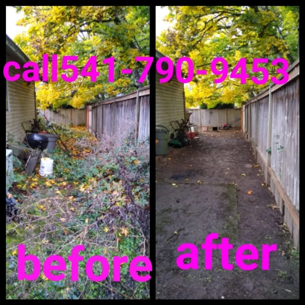 Top-rated landscaping services in Springfield, OR by h.p yard maintenance