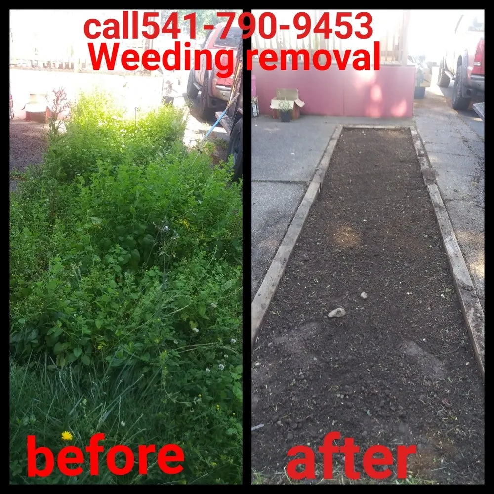 Professional outdoor landscaping in Springfield, OR by h.p yard maintenance