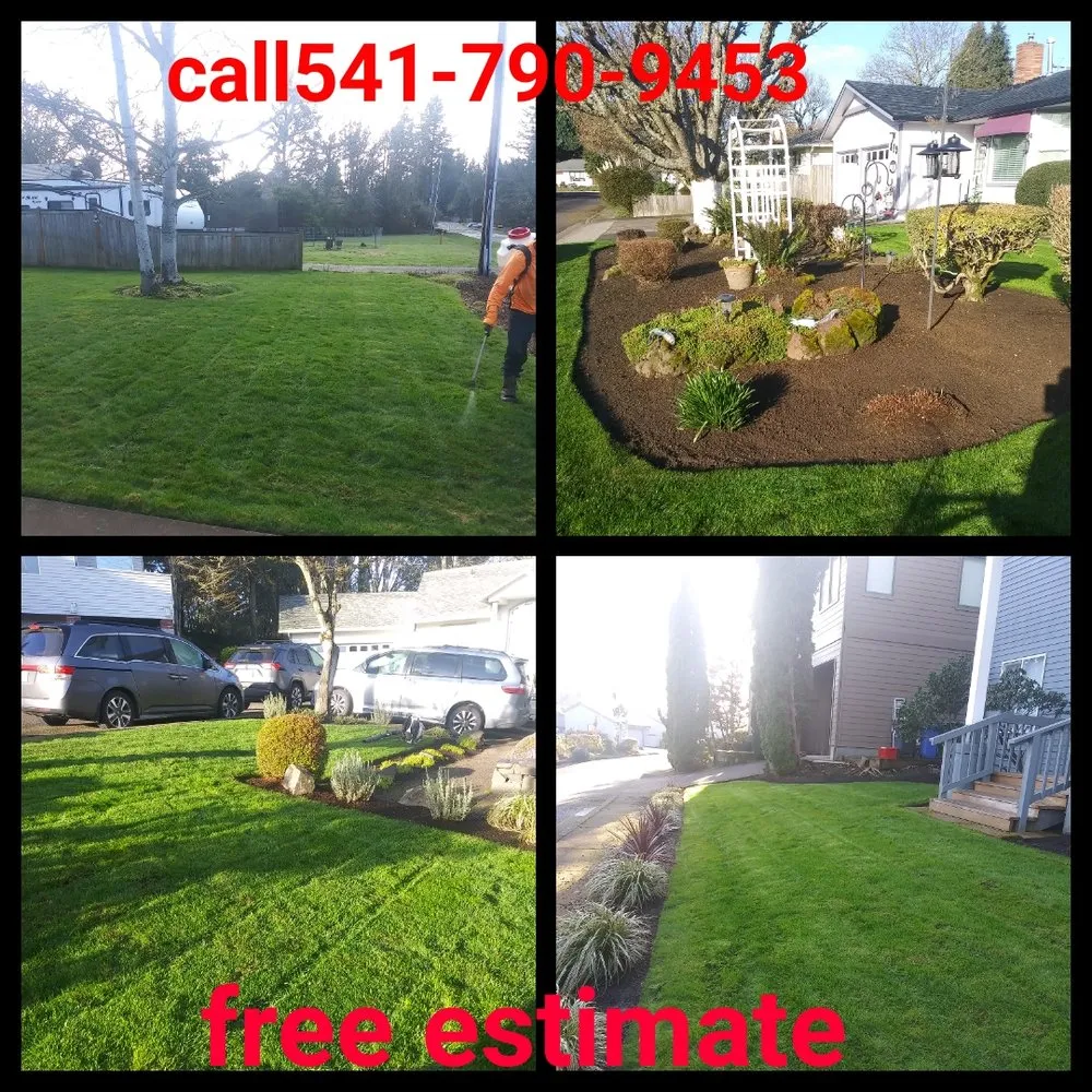 Custom landscaping services for year-round maintenance across Springfield, OR - h.p yard maintenance