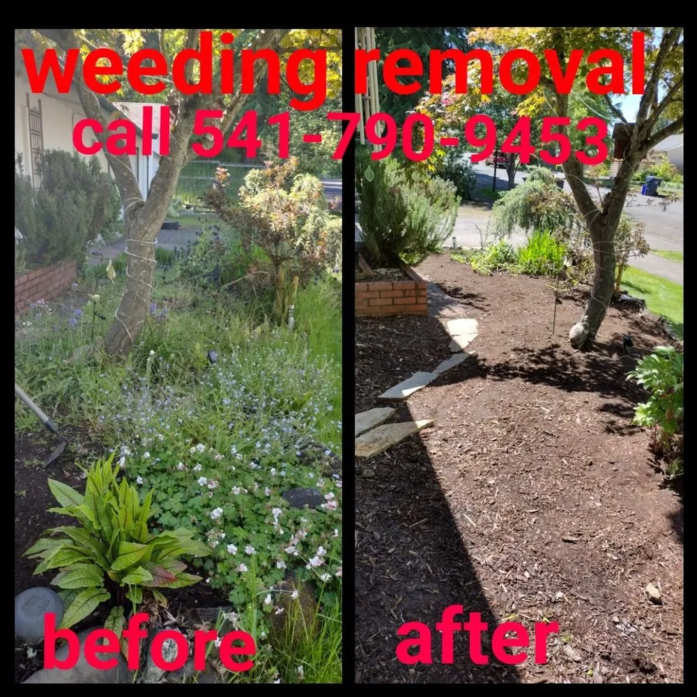 Custom outdoor landscaping in Springfield, OR - h.p yard maintenance