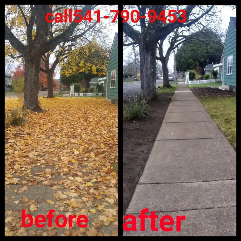 Professional yard maintenance experts serving Springfield, OR - h.p yard maintenance