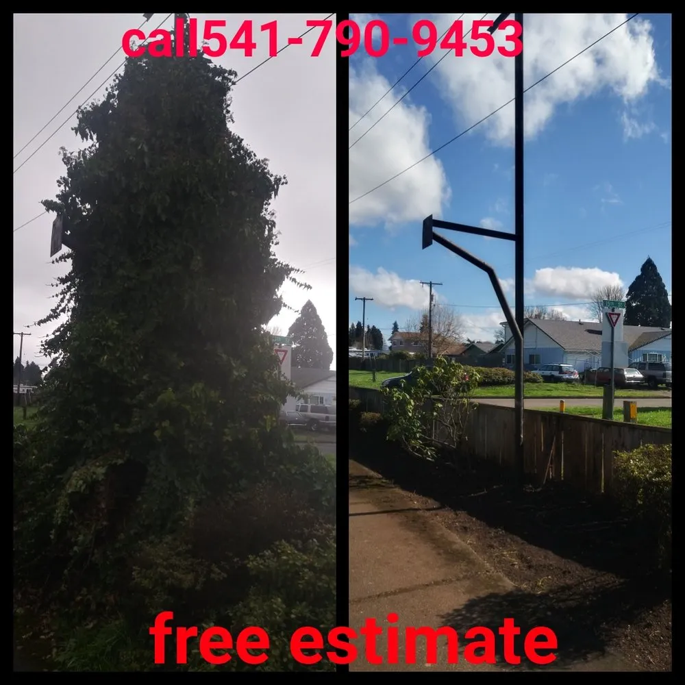 Reliable landscaping services in Springfield, OR by h.p yard maintenance