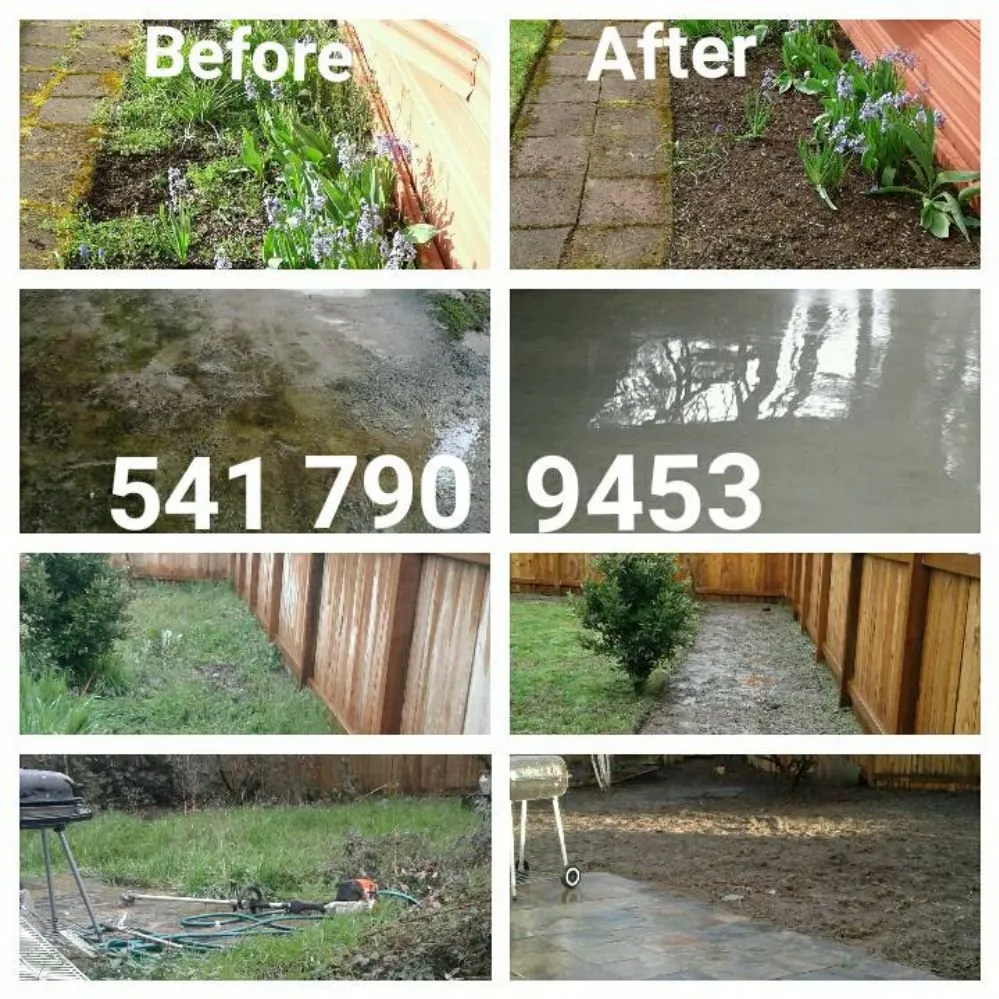Top-rated lawn care service for homes across Springfield, OR - h.p yard maintenance