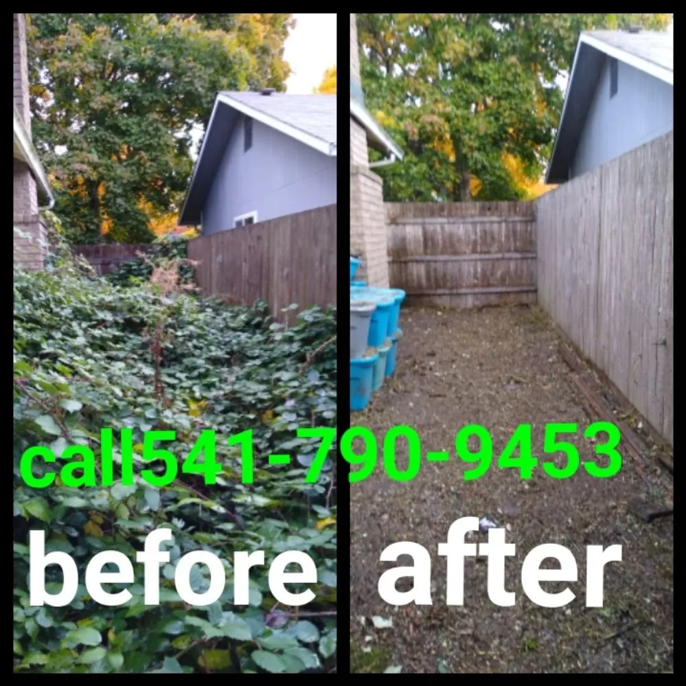 Top-rated landscaping services for residential properties across Springfield, OR - h.p yard maintenance