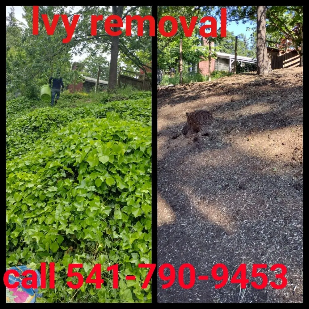 Trusted yard cleanup service with custom design in Springfield, OR by h.p yard maintenance