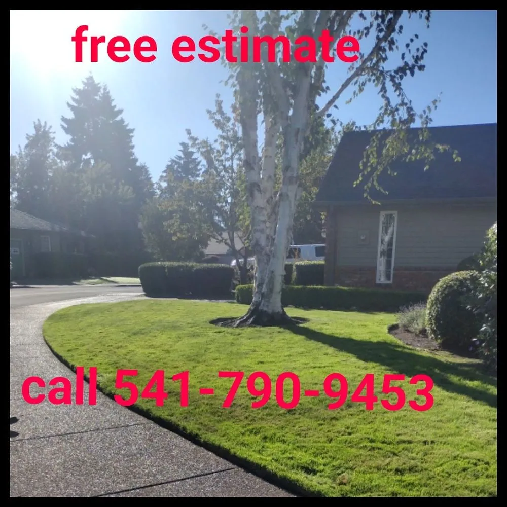 Custom yard maintenance near you in Springfield, OR by h.p yard maintenance