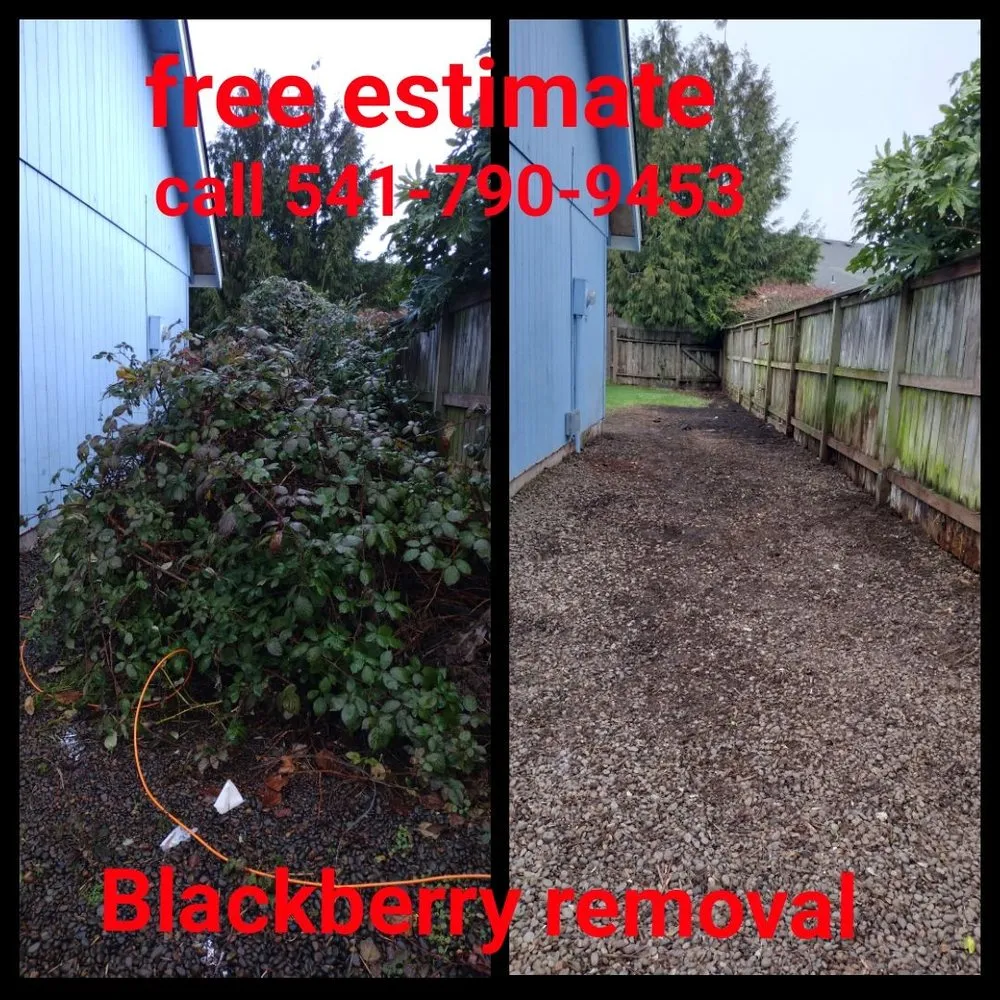 Custom garden landscaping with custom design across Springfield, OR - h.p yard maintenance