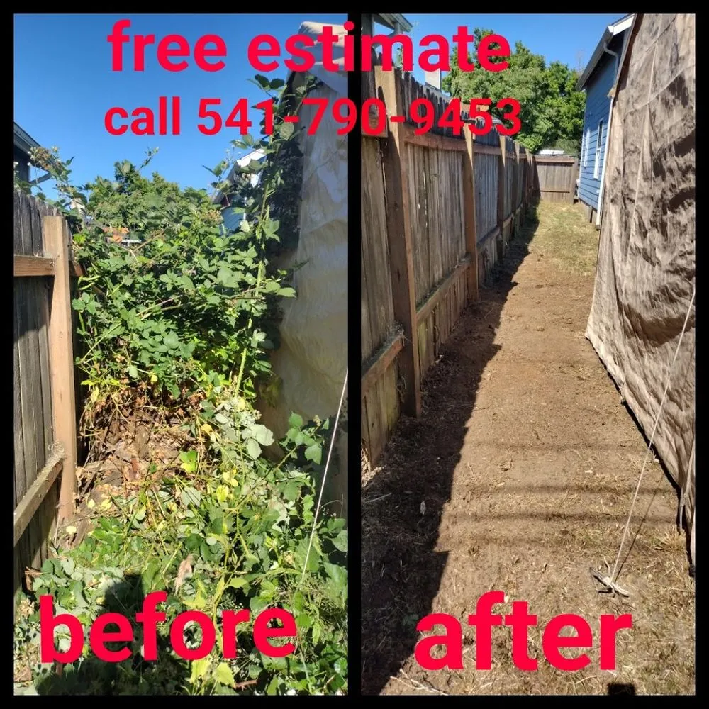 Expert outdoor landscaping experts serving Springfield, OR - h.p yard maintenance