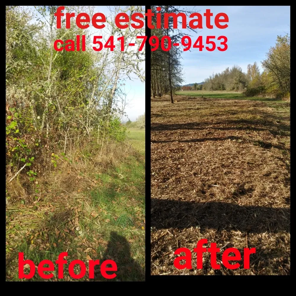 Reliable yard cleanup service in Springfield, OR by h.p yard maintenance