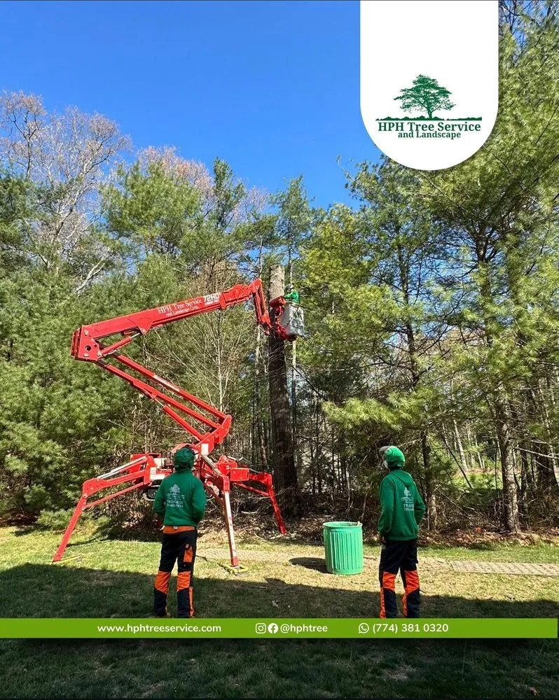 Reliable yard maintenance in Stoughton, MA - HPH Tree Service And Landscape