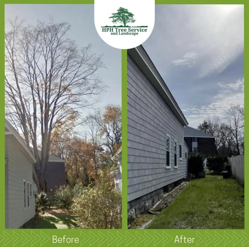 Trusted yard cleanup service for year-round maintenance in Stoughton, MA by HPH Tree Service And Landscape