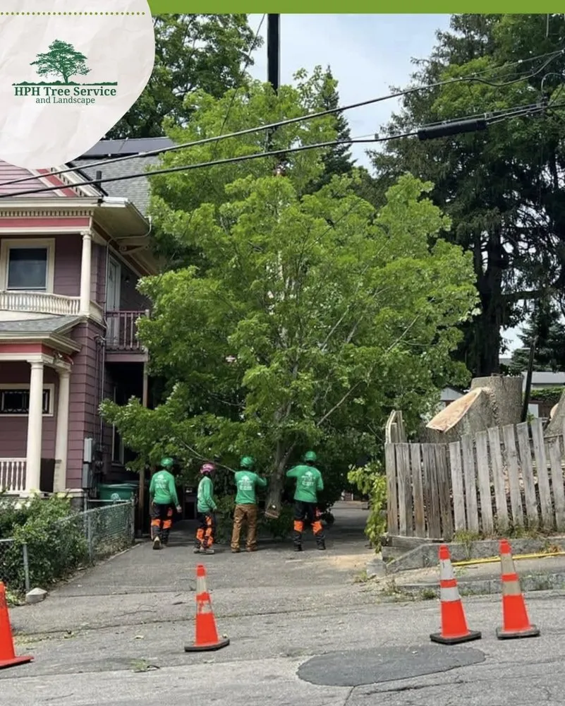 Trusted landscape installation near you in Stoughton, MA by HPH Tree Service And Landscape