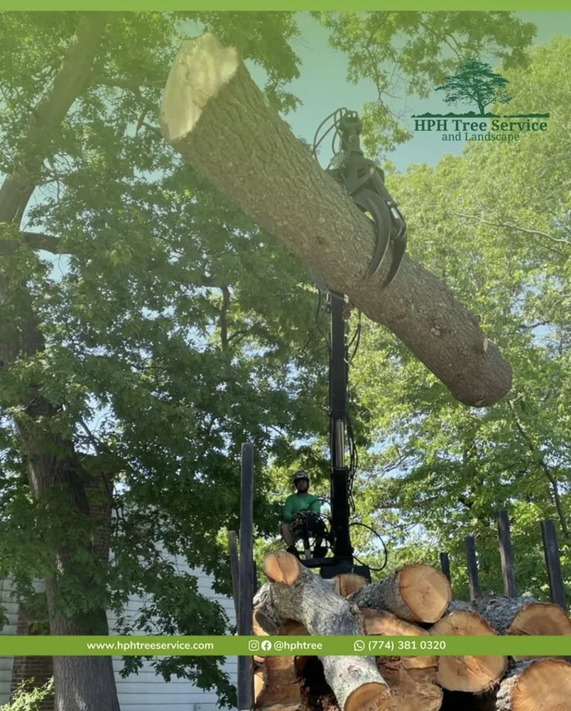 Trusted landscape design experts serving Stoughton, MA - HPH Tree Service And Landscape