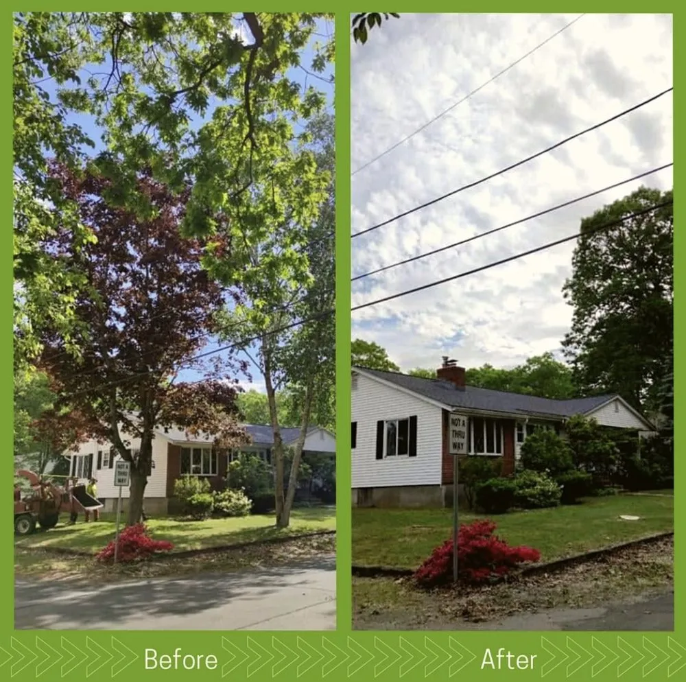 Expert lawn care service for residential properties across Stoughton, MA - HPH Tree Service And Landscape