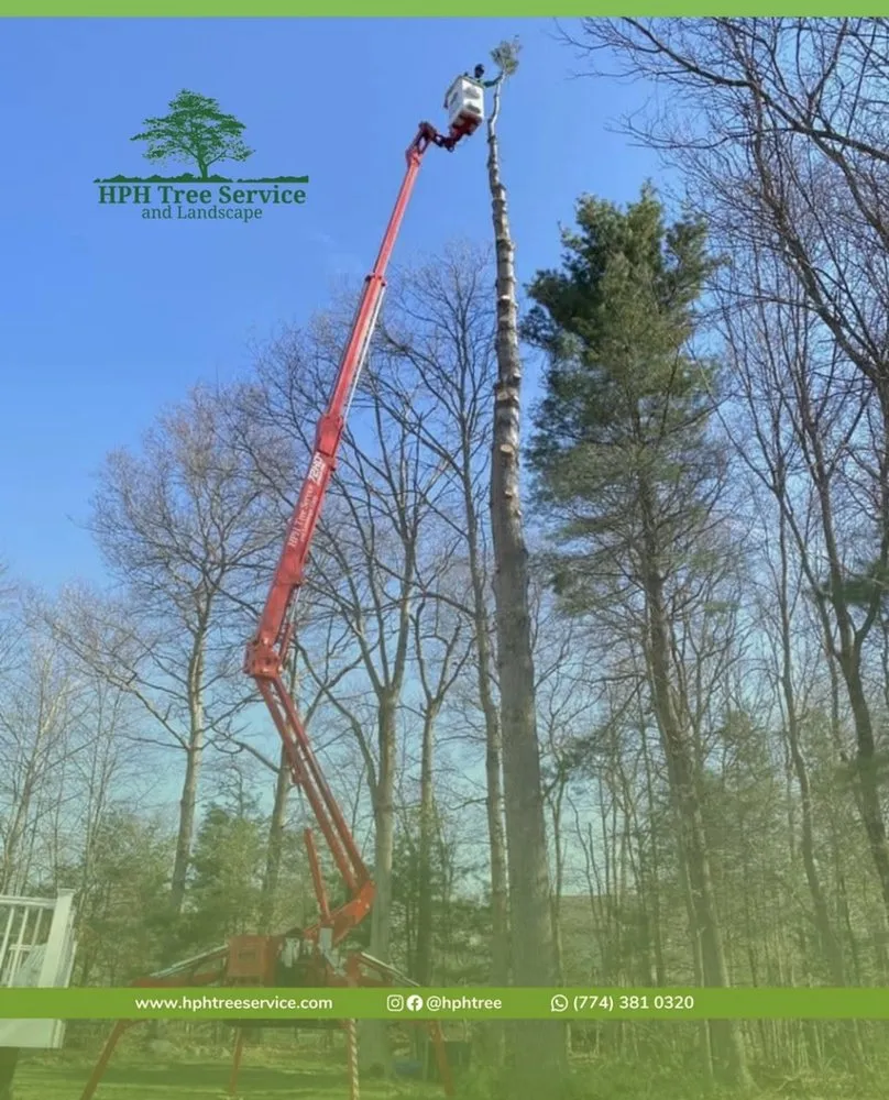 Professional lawn care service in Stoughton, MA by HPH Tree Service And Landscape