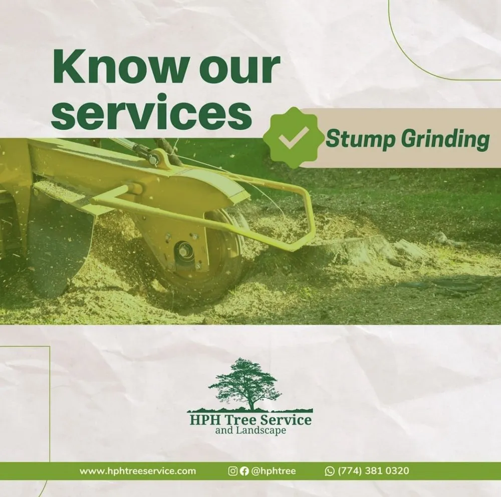 Custom landscape design for outdoor upgrades in Stoughton, MA by HPH Tree Service And Landscape